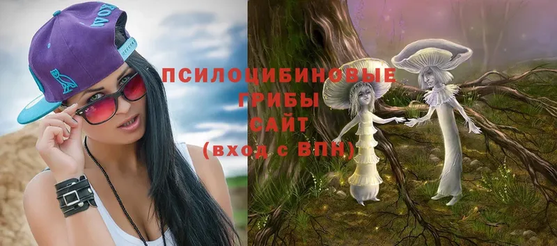 Псилоцибиновые грибы Magic Shrooms  OMG ТОР  Подпорожье 